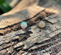5090 Welo Opal Stud Earrings